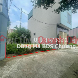 PRICE FOR 1TY4 TO OWN A LOT OF LAND IN PHU NGHIA INDUSTRIAL PARK-CHUONG MY _0