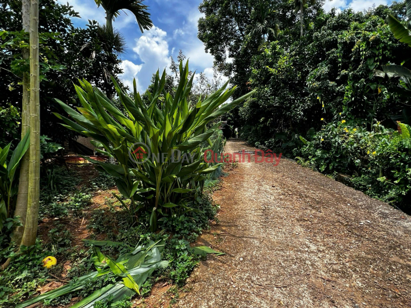 | Please Select, Residential | Sales Listings đ 10 Million