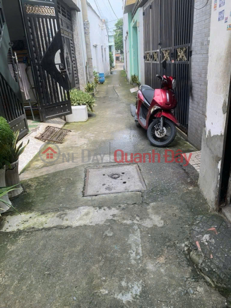 L1593 ️ sát Bình Thành Nguyễn Thị Tú, SHR, Vuông, 5x14m, 3.x tỷ, Việt Nam, Bán, đ 3,75 tỷ