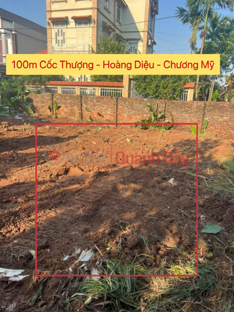 FOR SALE 100M AT COC THUONG-HOANG DIEU-CHUONG MY-HANOI _0