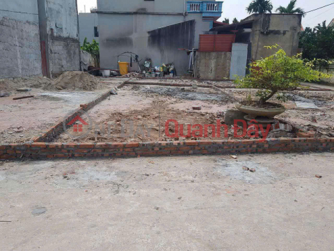 Quick sale of 42m2 of land in Thuong Mo, Dan Phuong, price 66 million _0