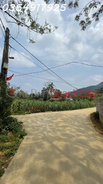 Property Search Vietnam | OneDay | Residential | Sales Listings, TRANSFER OF 878M2, 300 LAND IN CLN FOR 2.46 BILLION DY VILLAGE, MINH QUANG, BA VI, HANOI