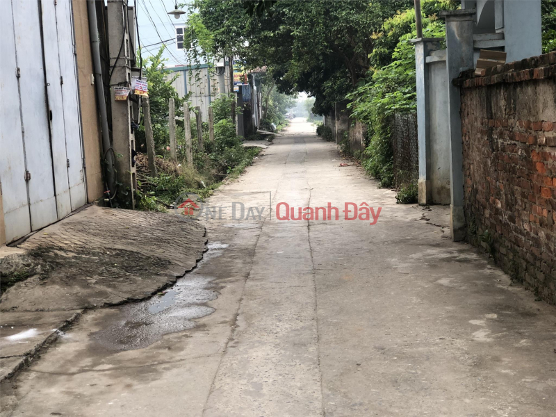 Property Search Vietnam | OneDay | Residential | Sales Listings Selling 59m2 of land in Phung Chau, corner lot with 5m road access, price 1.25 billion