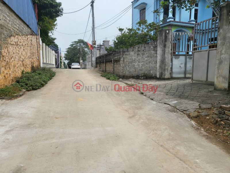 Just over 600 million - Bank-stricken owner needs to urgently sell 74m² plot of land located at Nam Phuong Tien, Chuong My, Hanoi Vietnam | Sales đ 680 Million