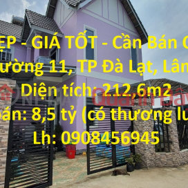 BEAUTIFUL HOUSE - GOOD PRICE - House For Sale In Ward 11, Da Lat City, Lam Dong _0