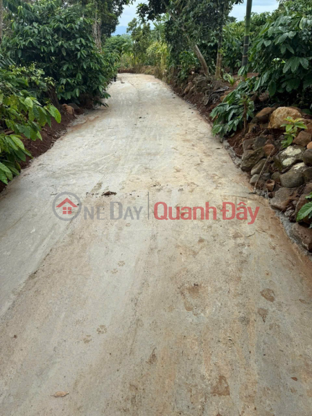 HOT! Own a plot of land with full residential zoning and concrete road access in Eana commune, Dak Lak province for only 170 million VND., Vietnam, Sales | đ 170 Million