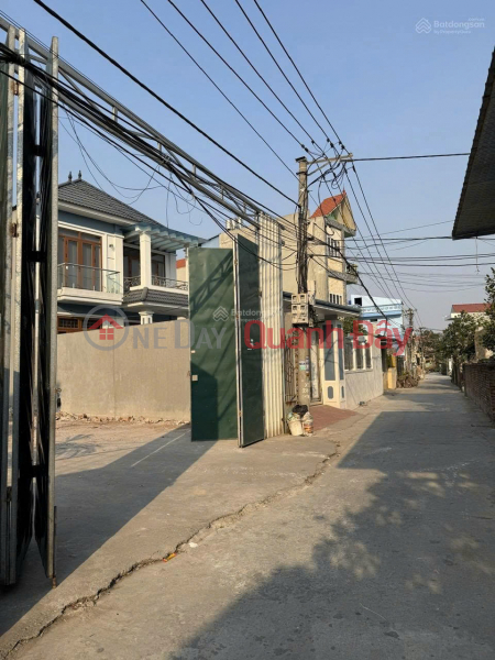 Property Search Vietnam | OneDay | Residential Sales Listings | Extremely rare 260m2 land plot in Thanh Dang village, Minh Hai, Van Lam, Hung Yen