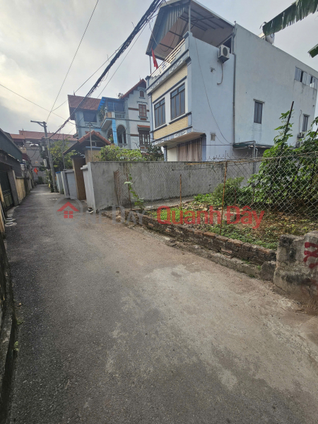 Property Search Vietnam | OneDay | Residential, Sales Listings | OWNER NEEDS TO SELL LAND IN DA TON - GIA LAM, PRICE SLIGHTLY OVER 4 BILLION VND, CONTACT 0985865658