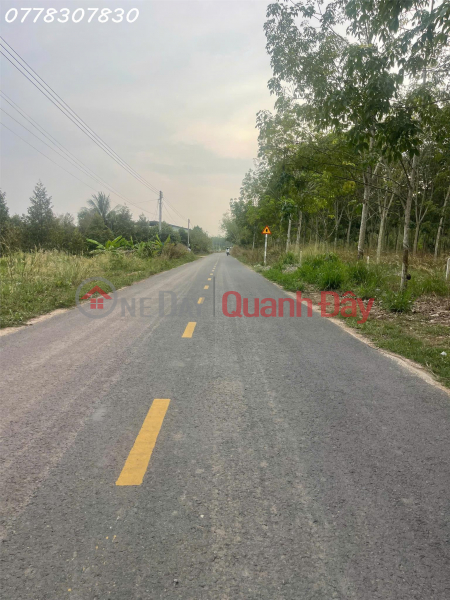 Bán đất tại đường Lò Rèn, Long Hòa, 4 tỷ, 880 m2, giá tốt, view đẹp Việt Nam Bán, đ 4 tỷ