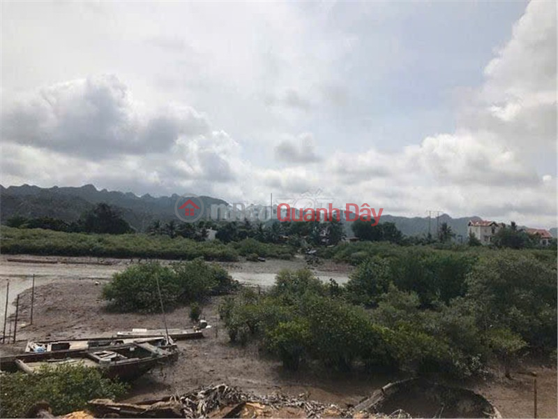 Owner Needs to Sell a Plot of Land in Bac Village, Phu Long Commune, Cat Hai, Hai Phong City | Vietnam | Sales đ 7.5 Billion