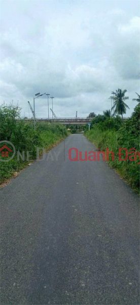 đ 3 Billion, GREAT INVESTMENT OPPORTUNITY AT A GREAT PRICE - OWNER NEEDS TO SELL QUICKLY A PLOT OF LAND IN TAN THANH HAMLET, THU THUA COMMUNE, TAY NINH PROVINCE.