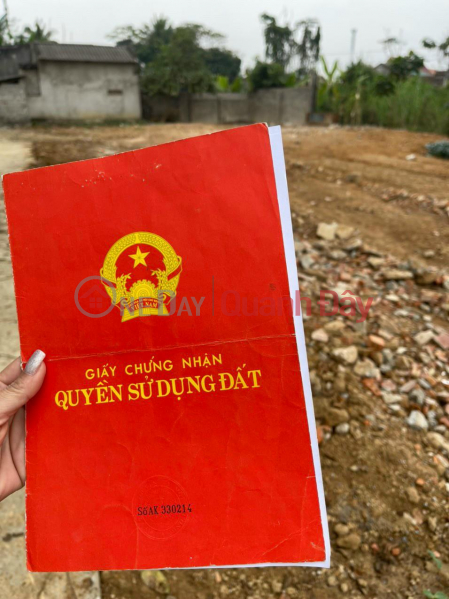 Property Search Vietnam | OneDay | Residential | Sales Listings, OWN 4 Lots of Land NOW in Prime Locations in Thuan Minh Commune, Tho Xuan District, Thanh Hoa Province