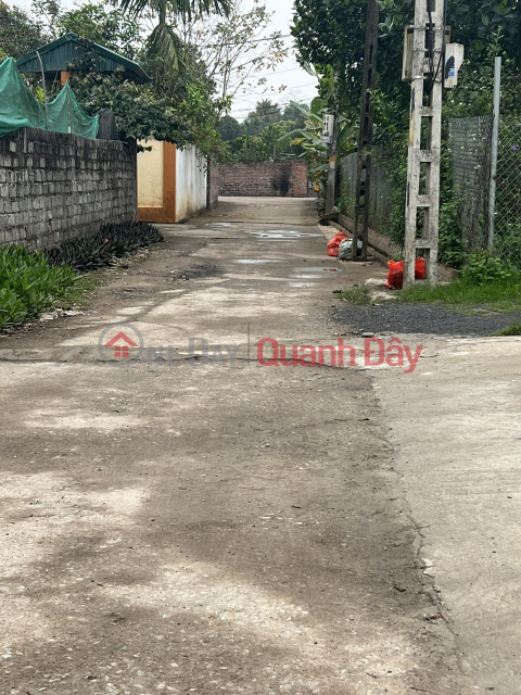 OWNER SELLS 55M2 LOT OF LAND IN DAI YEN-CHUONG MY-HANOI _0