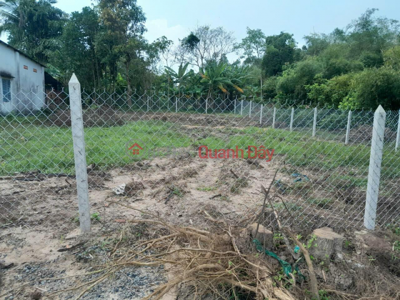 SUPER BEAUTIFUL LAND - Owner Needs to Sell Land Lot in Thai My Commune, Cu Chi, Ho Chi Minh City Sales Listings