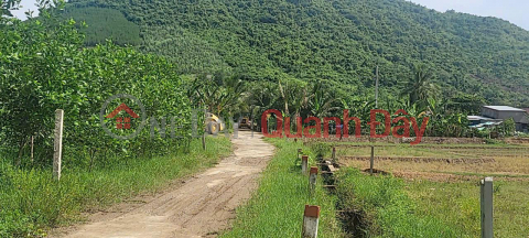 BÁN ĐẤT THỔ CƯ GIÁ RẺ TẠI DIÊN TÂN – DIÊN KHÁNH _0