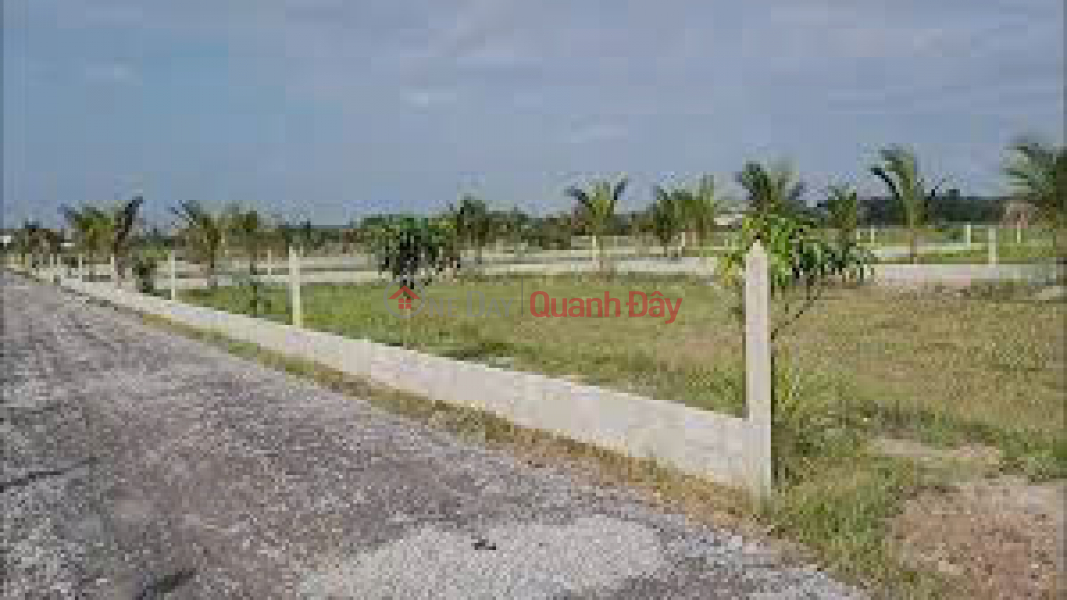 Land transfer at the frontage of Road No. 20, Lac Tanh Town, Tanh Linh District, Binh Thuan Province. (Exactly 500 meters from National Highway 55) Sales Listings