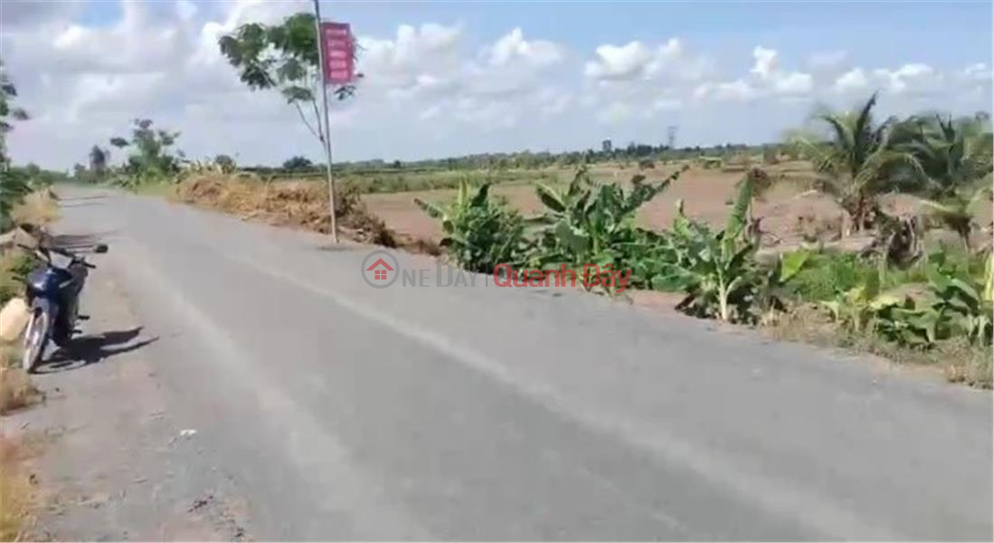 OWNER Sells Land Lot on Provincial Road 839, Thuan Binh Commune, Thanh Hoa, Long An. | Vietnam, Sales đ 10 Million