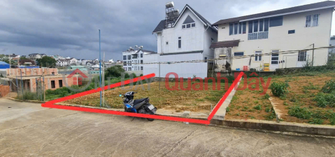 VILLA LAND FOR SALE ON VAN HANH STREET, WARD 8, PRIVATE LAND TITLE FOR CONSTRUCTION _0