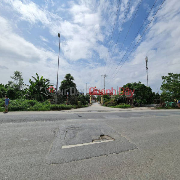 Bán 89m2 đất mặt phố kinh doanh sầm uất tại Trâu Quỳ, Gia Lâm, Hà Nội., Việt Nam, Bán đ 10,89 tỷ