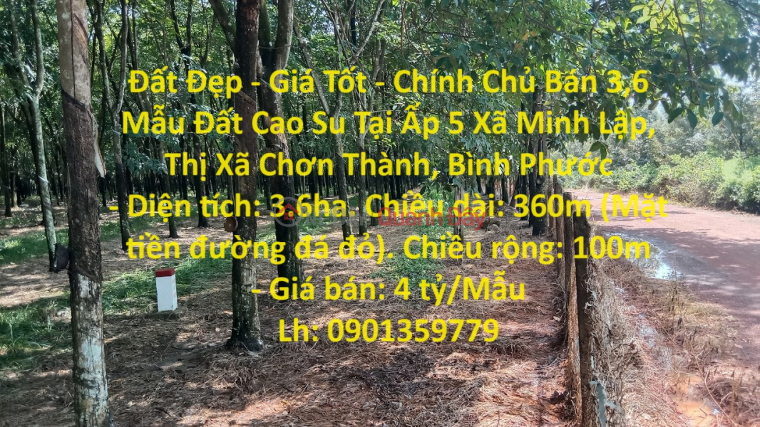 Đất Đẹp - Giá Tốt - Chính Chủ Bán 3,6 Mẫu Đất Cao Su Tại Ấp 5 Xã Minh Lập, Thị Xã Chơn Thành, Bình Phước Niêm yết bán