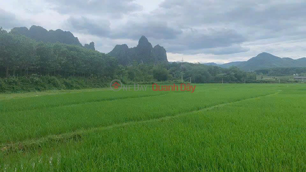 đ 7.74 Billion | SUPER PRODUCT OF 2-FRONT GARDEN LAND IN LIEN SON, LUONG SON, HOA BINH