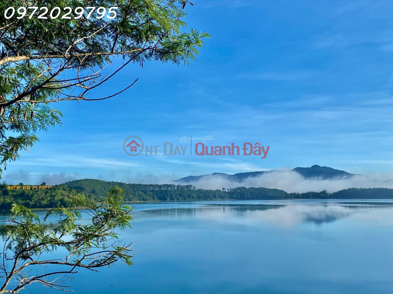Property Search Vietnam | OneDay | Nhà ở Niêm yết bán | Chính chủ bán đất 5- 10mx19.37m. Hướng đông tại Tp. Plei Ku, Gia Lai