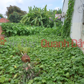 Land for sale in Thanh Loc 19, Thanh Loc Ward, District 12, 6.7m long road, 4m road, price reduced to 6.3 billion _0