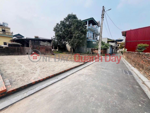 Land for sale in Nguyen Khe - Price from only 3,850 billion, car-accessible alley _0
