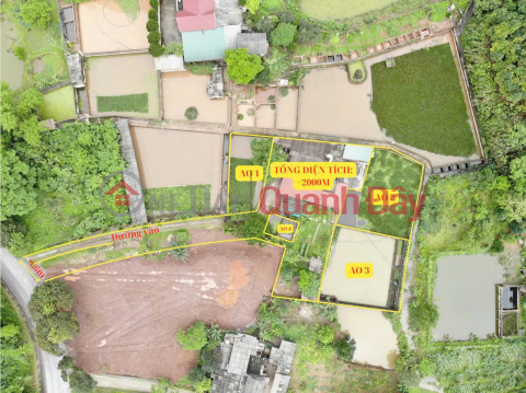 BEAUTIFUL LAND - CHEAP PRICE - Owner Quickly Sells 2000m2 Land Plot In Van Chan, Yen Bai _0