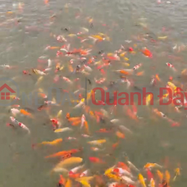 Land for Sale in Bac Son Trang Bom, Food and Beverage Business, Fishing Lake Near Bui De Parish _0