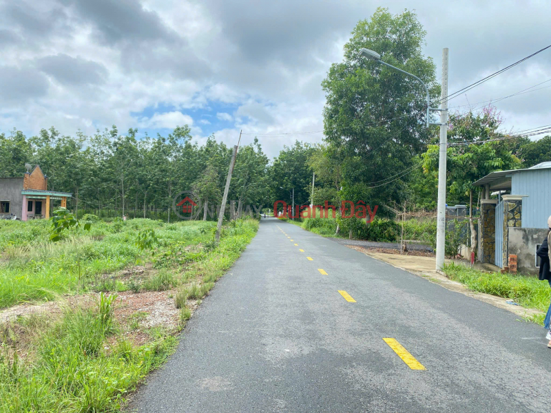 Residential land for sale in Long Phuoc, Long Thanh, Dong Nai 814.6m2 Price 8 billion 3.5km from Long Thanh International Airport, Vietnam, Sales | đ 8 Billion