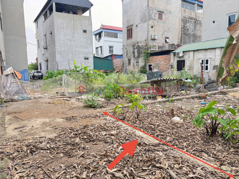 Cơ hội đầu tư BDS Kim Hoa, Mê Linh. Sổ đỏ chính chủ. Đón sóng đường vành đai 4, Việt Nam | Bán, đ 2,3 tỷ