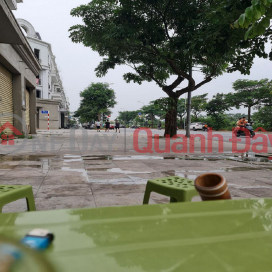 Selling 89m2 of land on a busy business street in Trau Quy, Gia Lam, Hanoi. _0