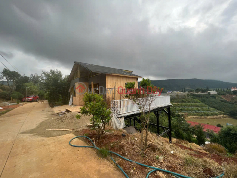 Property Search Vietnam | OneDay | Nhà ở | Niêm yết bán | ĐẤT ĐẸP - GIÁ RẺ- CHÍNH CHỦ CẦN BÁN GẤP LÔ ĐẤT Mặt Tiền Hiện Hữu Vị Trí Tại TP Đà Lạt, Lâm Đồng