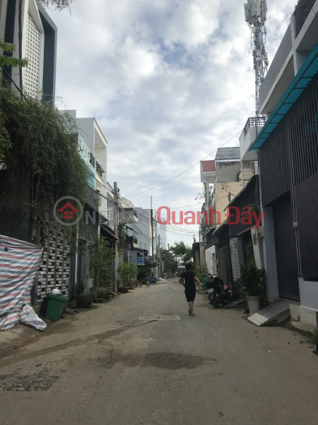 Bán Nhà Trường Lưu, Khu phân lô, hẻm tải, 55m2 giá 3.55 tỷ Niêm yết bán