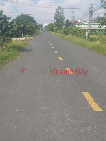 OWNER'S LAND 5x54m2 Front of Luc Vien asphalt road, Duc Lap Ha, Duc Hoa Sales Listings