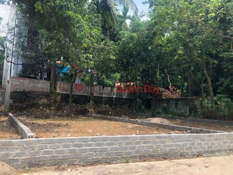 Super beautiful resort land Phuong Chau Chuong My 81m2 full residential area View of air-conditioned lake and wide road Sales Listings