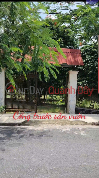 Đất 2 mặt tiền Đường Nguyễn Thị Lèn, Xã Trung An (nay là xã Bình Mỹ) Huyện Củ Chi Niêm yết bán