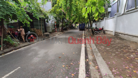 LAND FOR SALE IN CHU HUY MAN STREET, WIDE SIDEWALKS ON BOTH SIDES - HIGH TRI RESIDENTIAL AREA - STABLE CASH FLOW BUSINESS _0