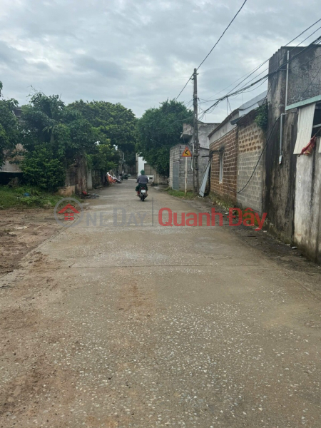 OWNER SELLS 113.9M2 LAND LOT IN NAM PHUONG TIEN-CHUONG MY-HANOI Sales Listings