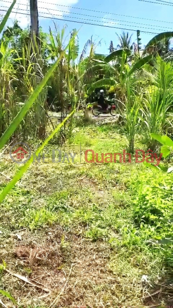 đ 470 Million, BEAUTIFUL LAND - PROFITABLE INVESTMENT - Owner Needs to Quickly Sell Land in Phu Tam Commune, Chau Thanh, Soc Trang