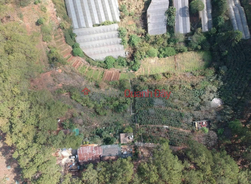 , Please Select | Office / Commercial Property Rental Listings đ 16 Million/ month