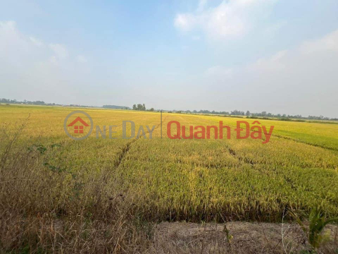 BEAUTIFUL LAND - GOOD PRICE - For Quick Sale Land Lot Location In An Chau Town - Chau Thanh - An Giang _0