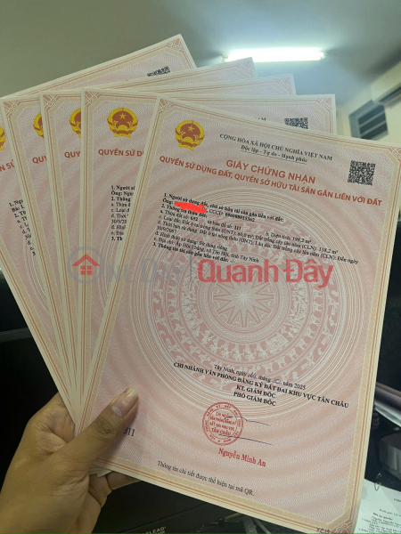 Chính Chủ Bán Lô Đất Mặt Tiền Đường DT785 Ấp Hội Thắng, Xã Tân Hội, Tây Ninh Việt Nam, Bán đ 729 triệu