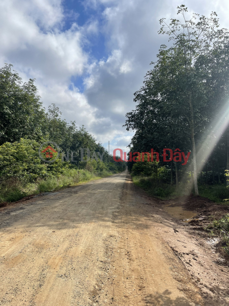 đ 660 Million | Selling residential land in Phu Loc - Krong Nang - Dak Lak