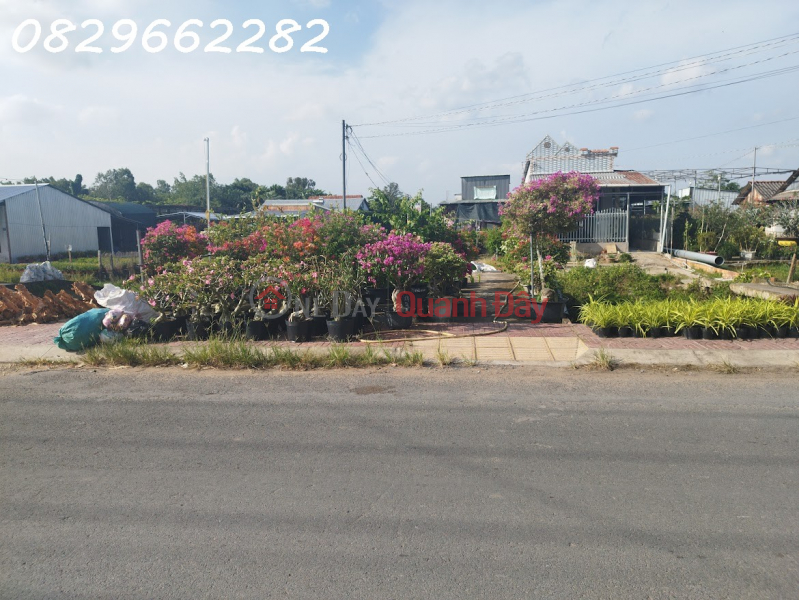 Bán Đất Thổ Cư Mặt Tiền Chính Đường Làng Hoa Sa Đéc, 200m2, SHR, Giá 3.5 Tỷ Việt Nam | Bán | đ 3,5 tỷ