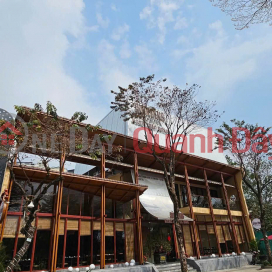 I'm renting out a house in Dai La, Kim Nguu, Vinh Tuy, Hai Ba Trung; 340m2 * 3 floors - 59 million VND. _0