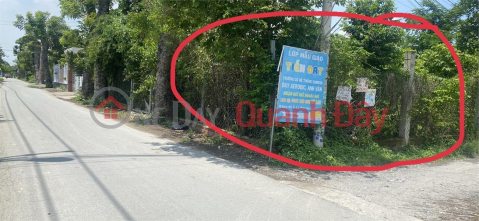 GENERAL Need for Quick Rent Beautiful Land Lot in Cu Chi District, Ho Chi Minh City _0
