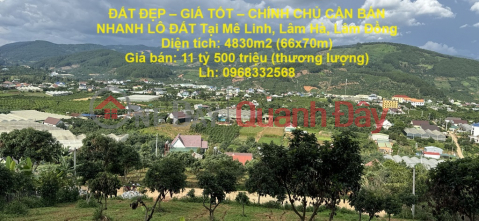 BEAUTIFUL LAND - GOOD PRICE - OWNERS NEED TO SELL LAND LOT QUICKLY IN Me Linh, Lam Ha, Lam Dong _0