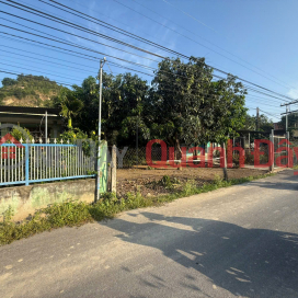 Owner needs money so sells quickly Hoi Xuong Suoi Hiep Dien Khanh Khanh Hoa Area 649 m2 with 70m2 of land. Front 9m _0